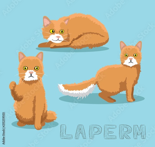 Vászonkép Cat Laperm Cartoon Vector Illustration