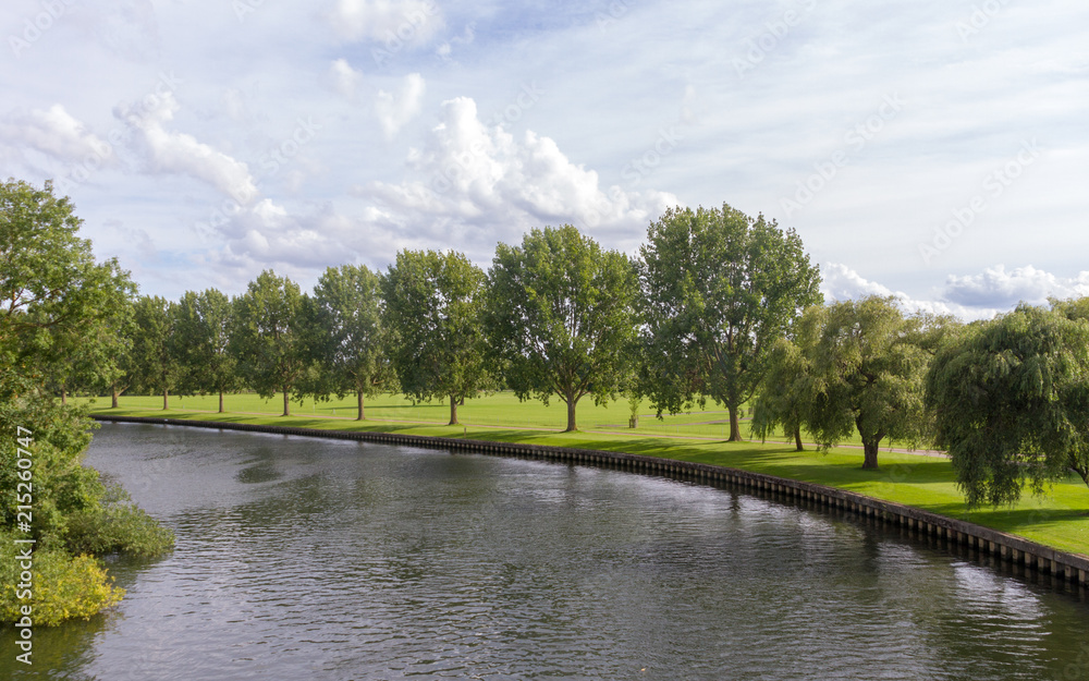 Obraz premium Line of spaced out trees beside the river Thames near Windsor forming an elegant green curve