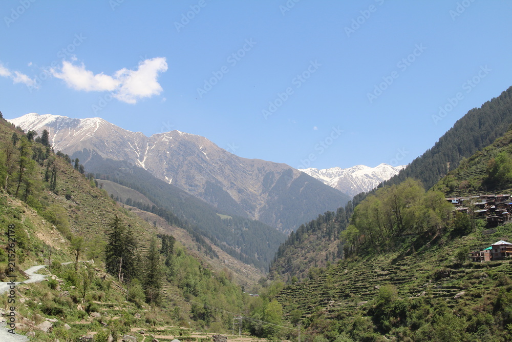5 Lohardi Himachal Pradesh India
