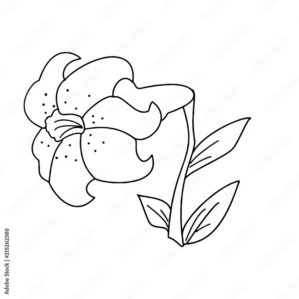 Cartoon flower isolated on the white background for children without