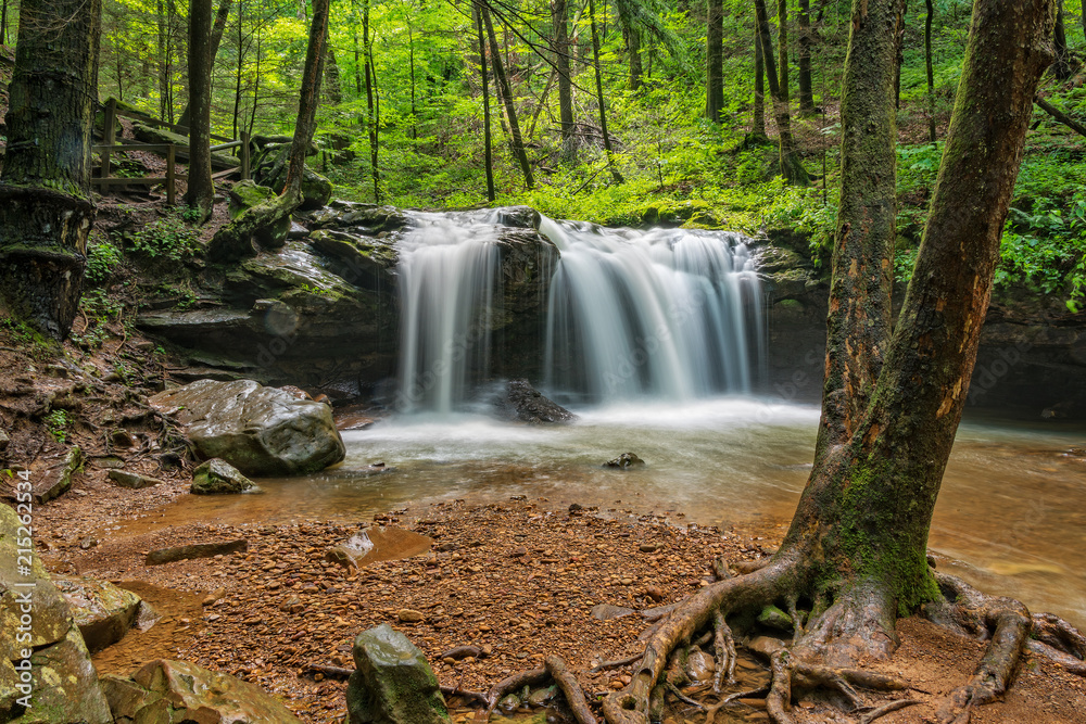 Fototapeta premium Debord Falls At Frozen Head State Park