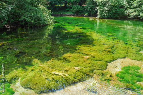 Shades of green. Clear, clean water. Beautiful river bottom with green algae. Bosnia and Herzegovina, public park Vrelo Bosne, near Sarajevo, river Bosna