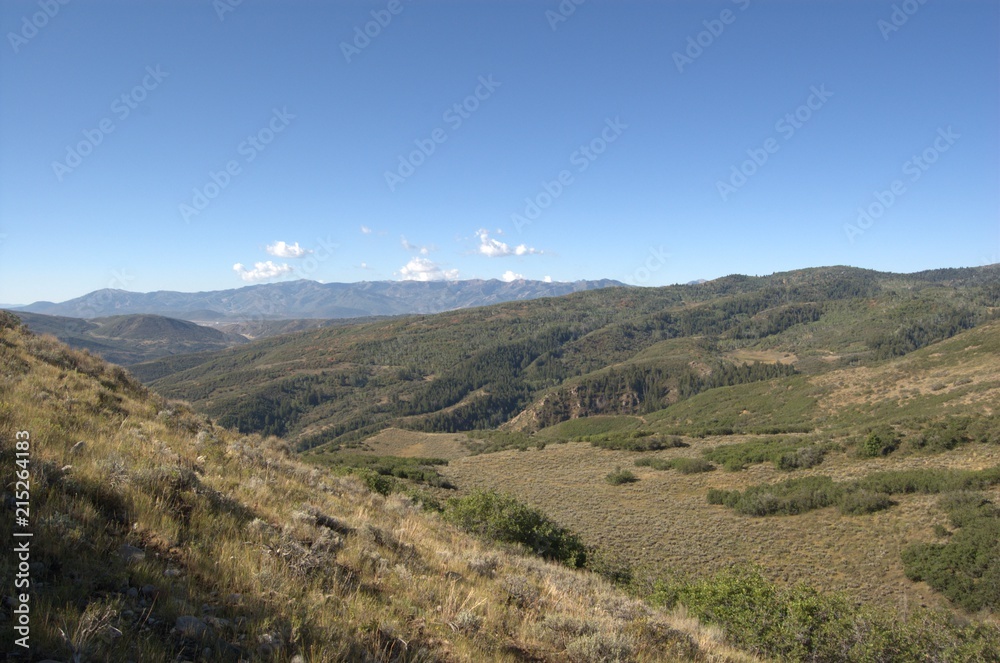 Fototapeta premium ACEllis & Company - Digital Art