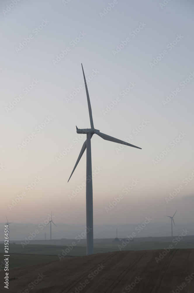 Obraz premium wind turbina , field and sky