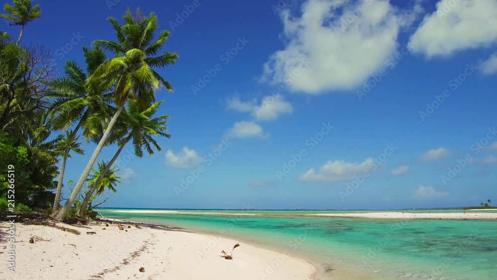 travel, seascape and nature concept - tropical beach with palm trees in french polynesia travel, seascape and nature concept - tropical beach with palm trees in french polynesia