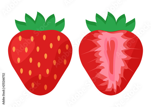 Set of sweet strawberry, whole and half. Vector illustration