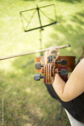 Musicians group playing wedding music photo