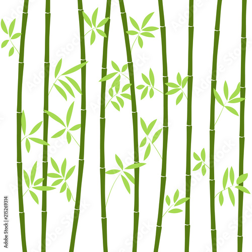 Fototapeta Naklejka Na Ścianę i Meble -  Chinese or japanese bamboo grass oriental wallpaper vector illustration. Tropical asian plant background