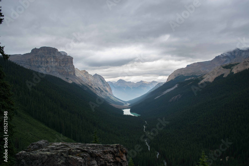 Fryatt Valley  Jasper  Alberta