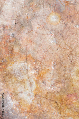 Orange stone texture