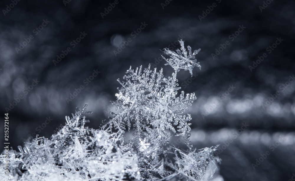 natural snowflakes on snow natural snowflakes on snow