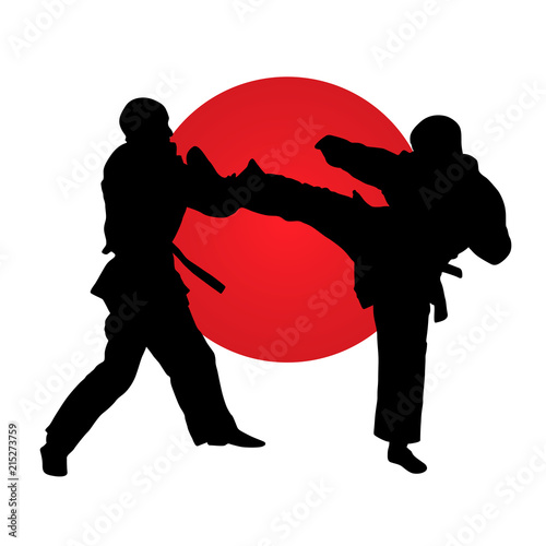Silhouette of karate fighters