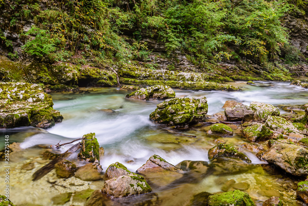 Mountain river Radovna in the Vintgar gorge, a natural Triglav national Park, Slovenia. Mountain river Radovna in the Vintgar gorge, a natural Triglav national Park, Slovenia.