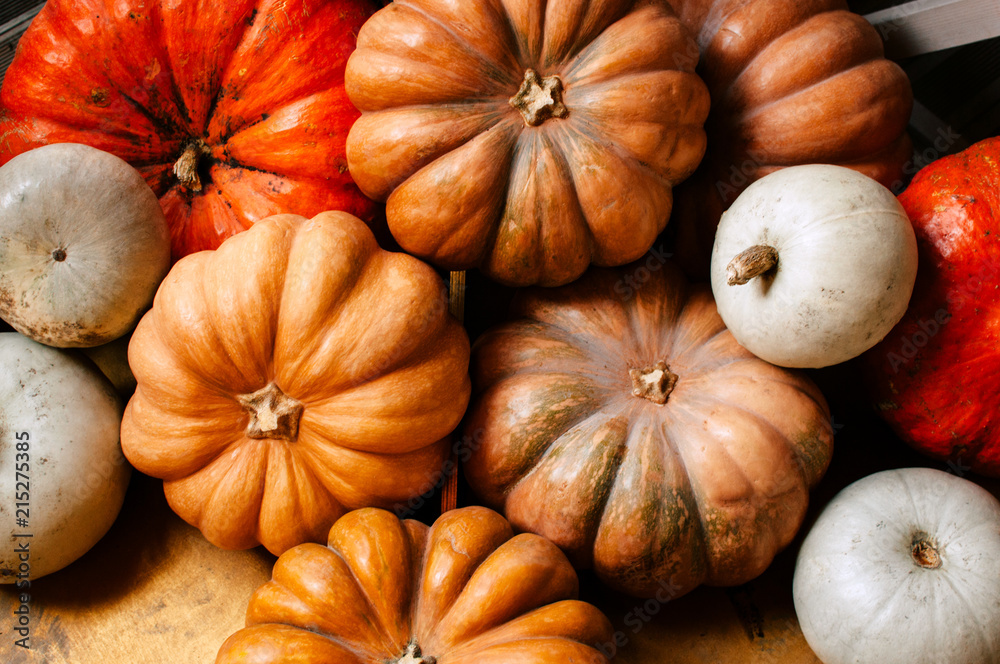 © Di Na/Stocksy - Pumpkin season