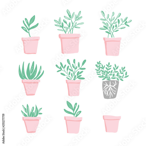 Vector illustration of potted flowers