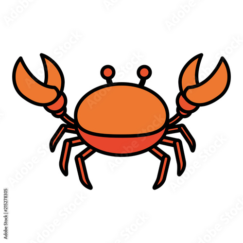 color nice crab tropical sea animal