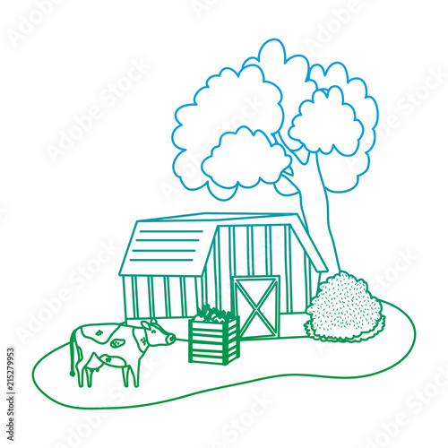 degraded line house farm with cow animals and eggplants
