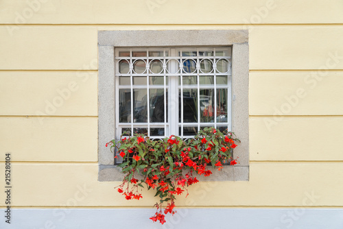 Flower boxes full of geraniums in front of a window in Passau  Germany