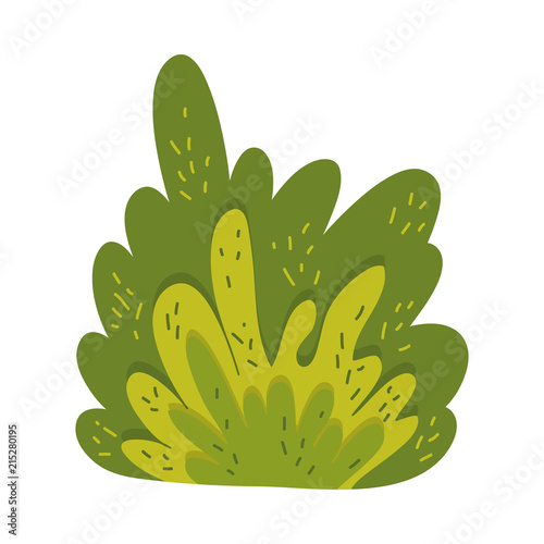 nature bush plant with tropical leaves