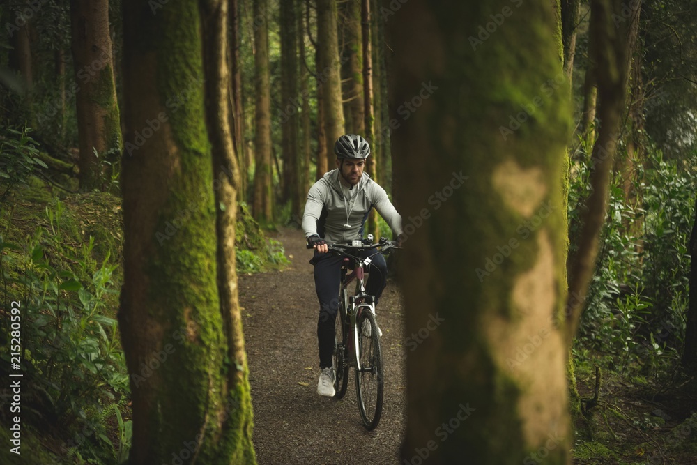 Cyclist riding bicycle through lush forest Cyclist riding bicycle through lush forest