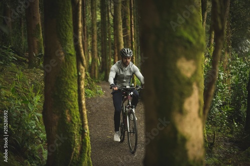 Cyclist riding bicycle through lush forest photo