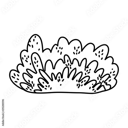 line nature bush plant with exotic leaves