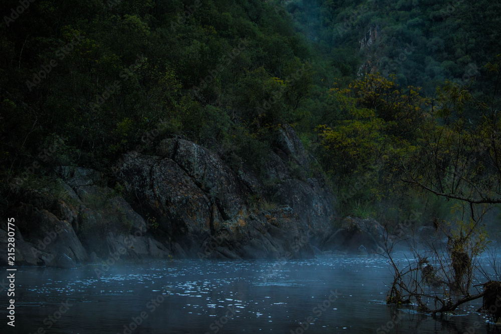 Fototapeta premium Composicion..