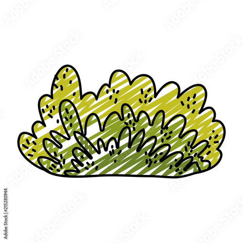 doodle nature bush plant with exotic leaves