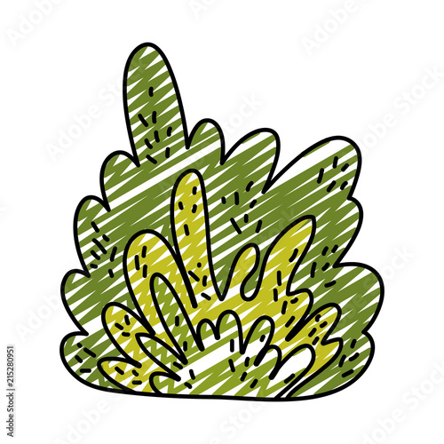doodle nature bush plant with tropical leaves
