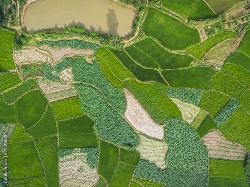 Aerial photography bird-eye view of farm farmland nature landsca photo