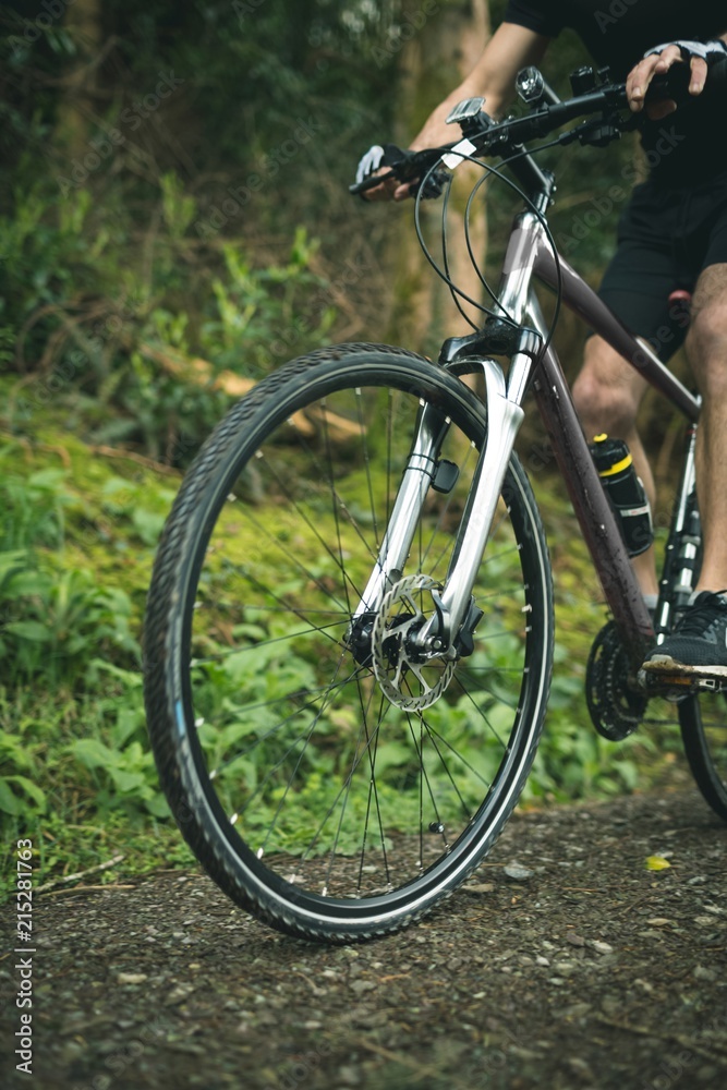 Cyclist riding bicycle through lush forest Cyclist riding bicycle through lush forest