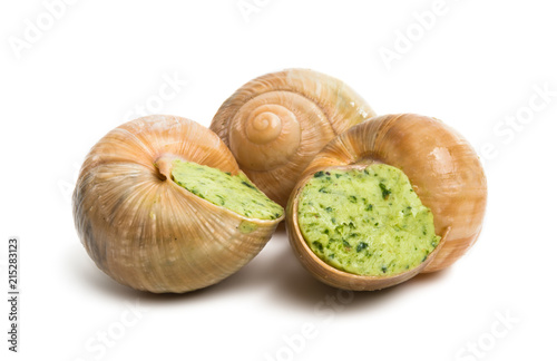 stuffed snail isolated