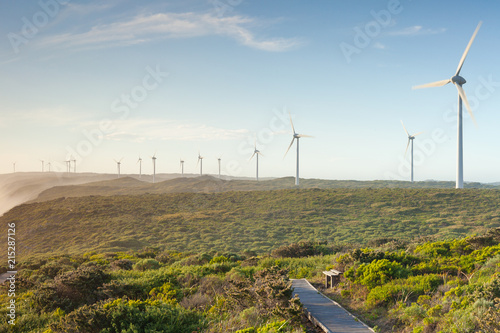 Massive Wind Power Turbines On Coast photo