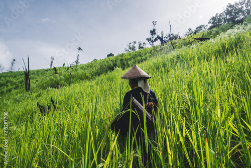 Senior Karen woman in her rotational farming