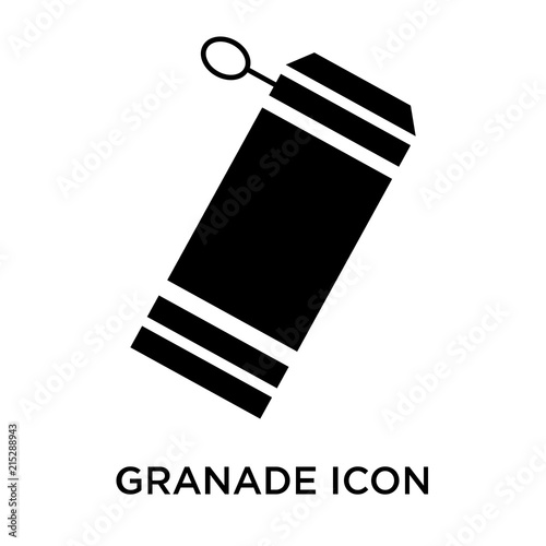 granade icon isolated on white background. Simple and editable granade icons. Modern icon vector illustration. photo