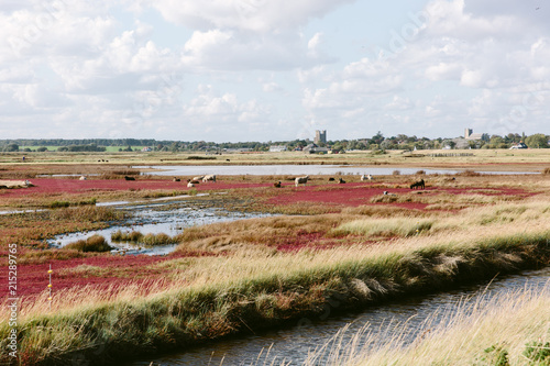 Suffolk marshland with sheep and a distant castle and church. photo