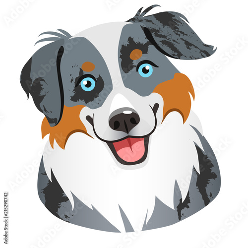 Australian shepherd dog face portrait cartoon illustration.  Cute friendly blue merle tricolor herding dog smiling with tongue out. Pets, dog lovers, animal themed design element isolated on white,