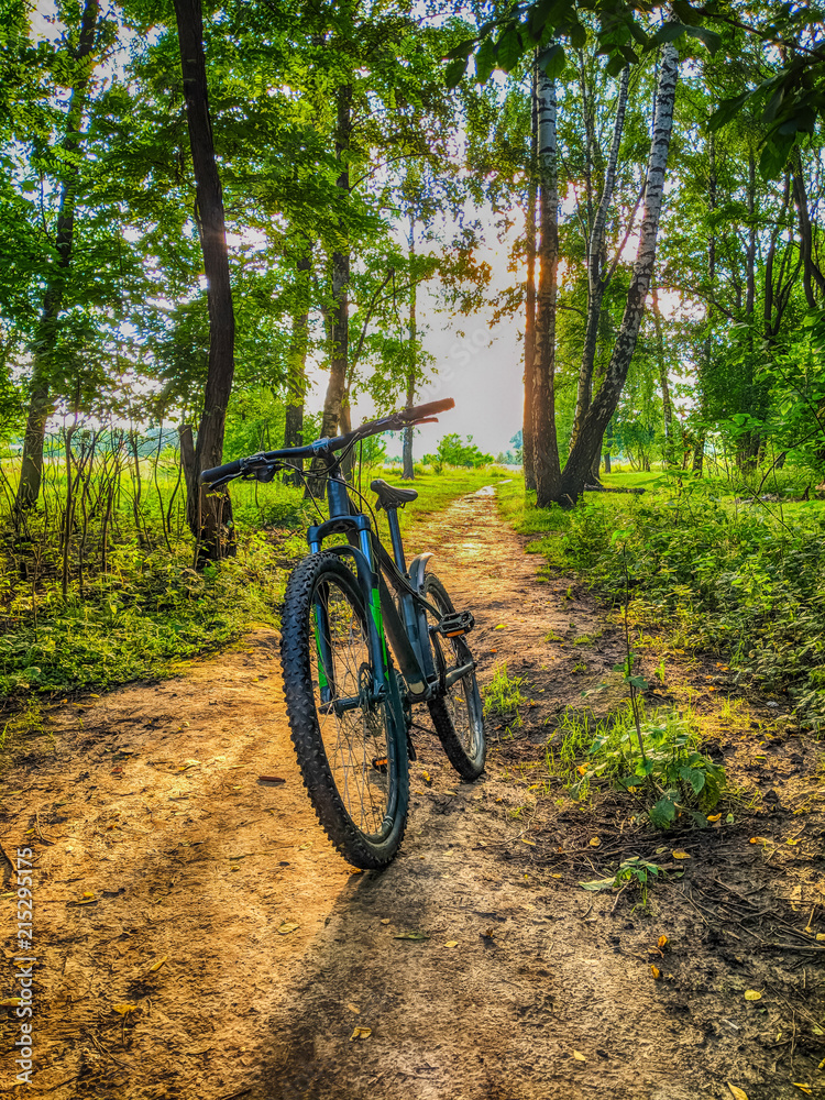 Fototapeta premium MTB bicycle on the trail in the summer season