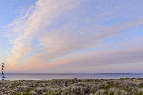 Pastel clouds over the North Sea at sunrise with dune grass on the beach at Bamburgh in Northumberland, England, United Kingdom photo