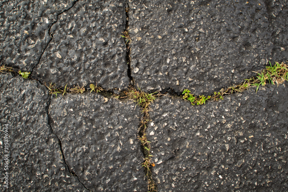 Obraz premium Cracked black pavement