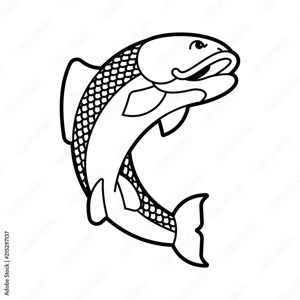 Carp japan fish isolated. folk asian koi vector illustration Carp japan fish isolated. folk asian koi vector illustration