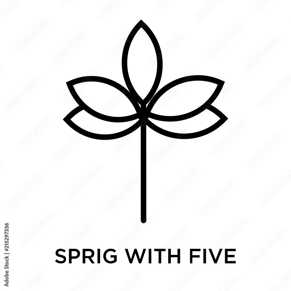 sprig with five leaves icon isolated on white background. Simple and editable sprig with five leaves icons. Modern icon vector illustration. sprig with five leaves icon isolated on white background. Simple and editable sprig with five leaves icons. Modern icon vector illustration.