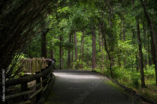 Canopied path at zoo photo