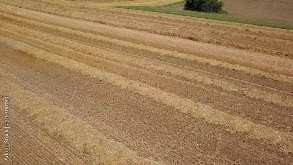 Ernte wird eingeholt Ernte wird eingeholt