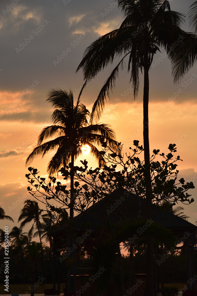 Obraz premium Tropical Sunset in Cuba, palm trees at sunset