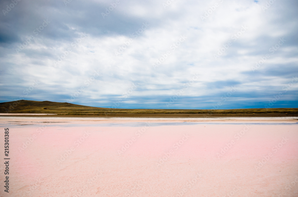 Pink salted lake in Crimea