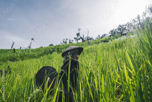 Senior Karen woman in her rotational farming