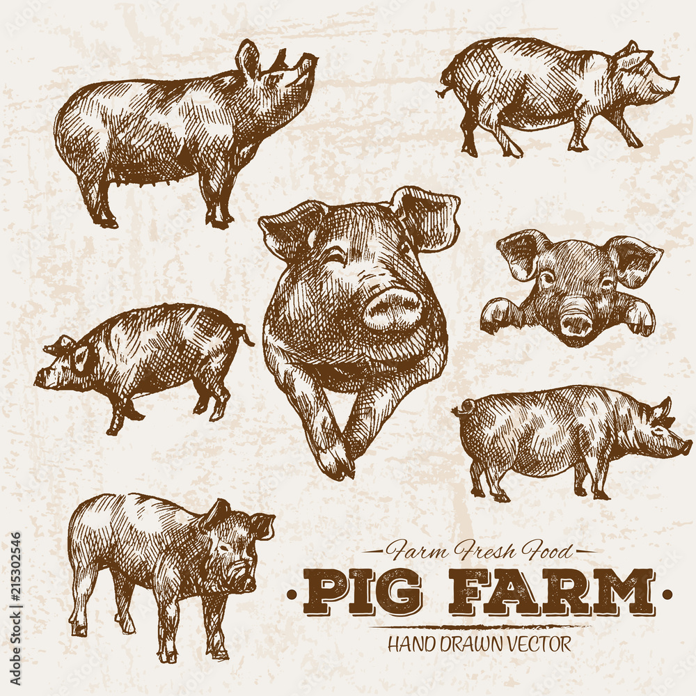 Hand drawn sketch steak meat products set