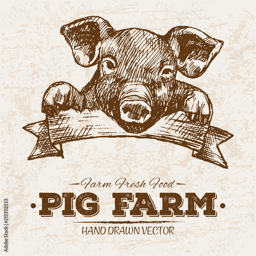 Hand drawn sketch steak meat products set