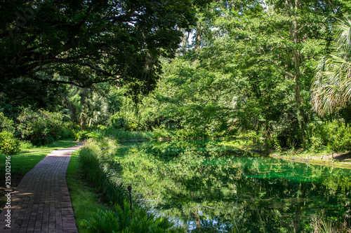 Walk by the pond